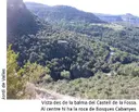 Balma del Castell de la Fossa - Miniatura 7, Tavertet