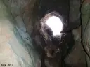 Cova-avenc del Padró - Miniatura 5, Àger