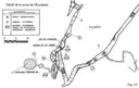 Forat de Riu Algars - Thumbnail 13, Alfara de Carles