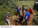 Forat de la Convocatòria - Miniatur 10, Camarasa