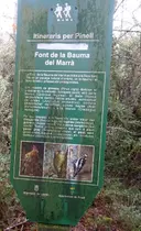 Bauma de la Font del Marrà - 缩略图 1, Pinell de Solsonès