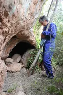 Coveta del Joncar - Миниатюра 1, Font-rubí