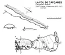 la Fou de Capçanes - Miniatura 2, Capçanes