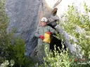 Cova del Lladre - Miniatura 2, Àger