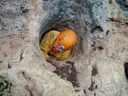 Cova de la Pesseta - Miniatura 2, Torrelles de Foix