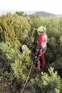 Avenc del Puig Escampador - Miniatura 1, Olesa de Bonesvalls