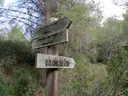 Cova d'en Duran - Miniatura 1, Roda de Berà