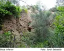 Cova de Can Trullars - Thumbnail 5, Viladecavalls