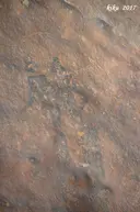 la Roca dels Moros - Miniatura 4, Cogul, El