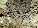 Forat de la Nit - Thumbnail 6, Torre de Claramunt, La