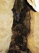 Cova d'en Rubí - Miniatura 7, Tortosa