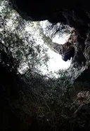 Avencó del Pont del Lledoner - Miniatura 5, Cervelló