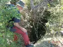 Avenc de la Roca del Migdia Nº1 - Miniatura 1, Febró, La