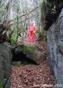 Bora del Camí - Miniatura 2, Esquirol, L'
