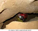 Cova de la Punta Grossa - Miniatura 7, Sitges