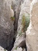 Esquerdes de Palomera - Miniatura 9, Saldes