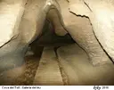 Cova del Toll - Miniatura 17, Moià