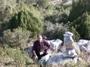 Avenc Daniel - Miniatura 1, Begues