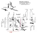 Pou de la Calella - Miniatura 1, Torroella de Montgrí