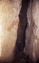 Forat dels Coms - Miniatura 5, Abella de la Conca