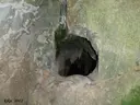 Cova Inferior del Penitent - Miniatura 4, Queralbs