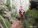 Bora Llarga d'en Masallera - Miniatura 1, Esquirol, L'