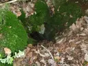 Avenc Nº2 de les Forques - Miniatura 2, Gavet de la Conca