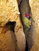 Cova de la Mata - Miniatura 4, Vimbodí i Poblet