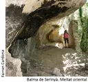 Balma de Serinyà - Miniatura 2, Orís