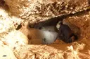 Espluga Sorta - Miniatura 6, Conca de Dalt