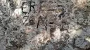 Cova dels Mosquits - Thumbnail 1, Mura
