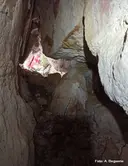 Forat dels Bancarrassos - Miniatura 2, Olesa de Bonesvalls