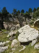 Bòfia del Pedró - Miniatura 3, Fígols