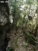 Avencots dels Motllats de la Pona - Miniatura 5, Febró, La