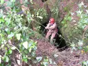 Avenc de l'Obaga de l'illa - Миниатюра 1, Castellar del Vallès