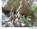 Cova del Boixar - Thumbnail 1, Bruc, El