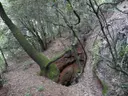 Avenc Petit de la Muntada - Thumbnail 2, Sant Llorenç Savall