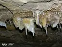 Cova del Brugal - Miniatura 6, Sant Esteve de la Sarga