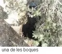 Avenc dels Quatre Forats - Miniatura 2, Begues