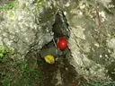 Avenc del Marge del Moro - Thumbnail 1, Vallirana