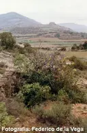 Cova de Sant Miquel - صورة مصغرة 1, Sant Esteve de la Sarga