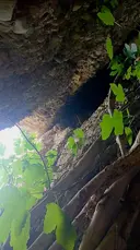 Cova de la Canal del Sant - Миниатюра 4, Quar, La