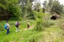 Cova Gran - Miniatura 1, Sant Jaume dels Domenys