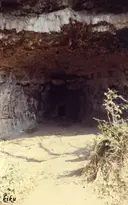 Cova del Toll - Miniatura 4, Moià
