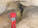 Cova Terrera - Miniatura 4, Alfara de Carles