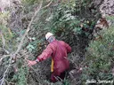 Forat del Lladre - Miniatura 1, Isona i Conca Dellà