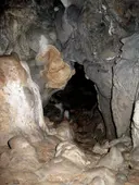 Cova del Molinot - Miniatura 3, Odèn