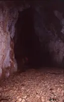 Grallera de Corona - Miniatura 5, Sant Esteve de la Sarga