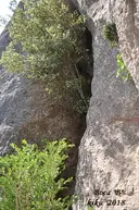 Cova Gran de les Fogueroses - Miniatura 14, Sant Llorenç Savall