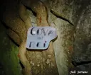 Cova del Rei - Miniatur 1, Capafonts